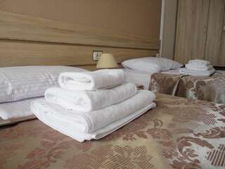 Отель Dibrova Белая Церковь Двухместный номер с 2 отдельными кроватями-2